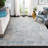 Dream Performance Oriental Rug-1500059783