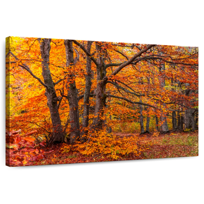 Les bois d'Alvord en automne, H 8 po x l 12 po