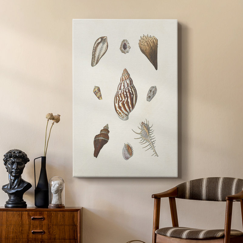 Coquillages Knorr et corail - galerie Cavas sur mesure, H 27 po x l 18 po