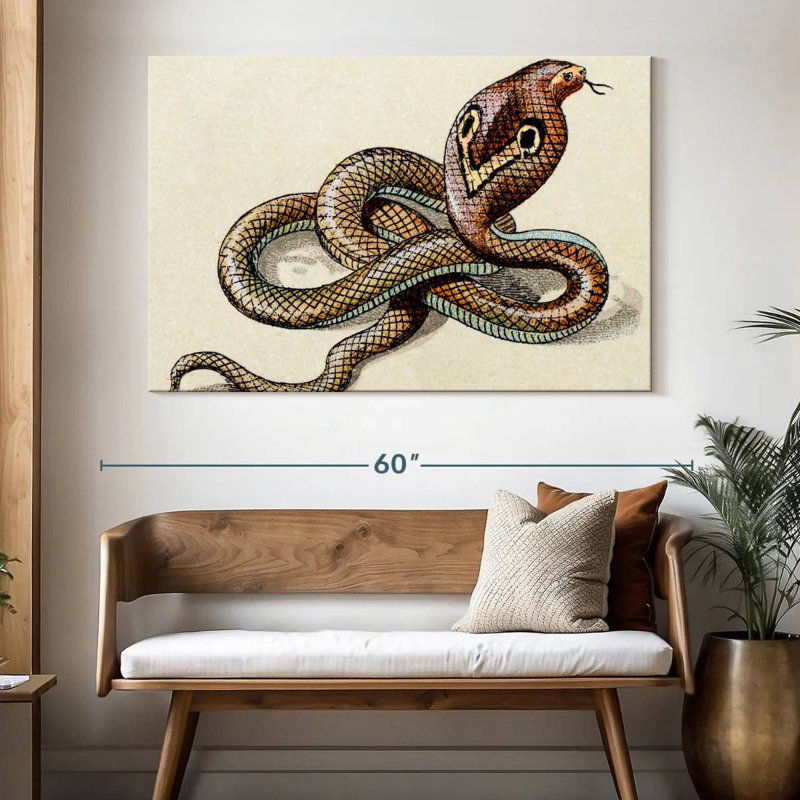 Brampt Indian Cobra, 34" H x 51" W