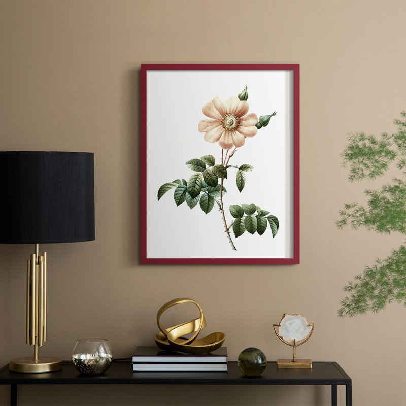 «Botanical Beauty II», reproduction encadrée - bois massif, Rouge, H 21 po x l 17 po