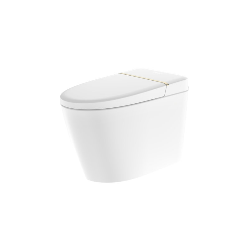 Toilette intelligente avec pulvérisateur d'eau chaude et sécheuse, capteur de pied, siège de bidet chauffant, toilette sans réservoir avec affichage DEL