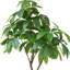 Pachira aquatica artificiel Panama en pot-1946972895