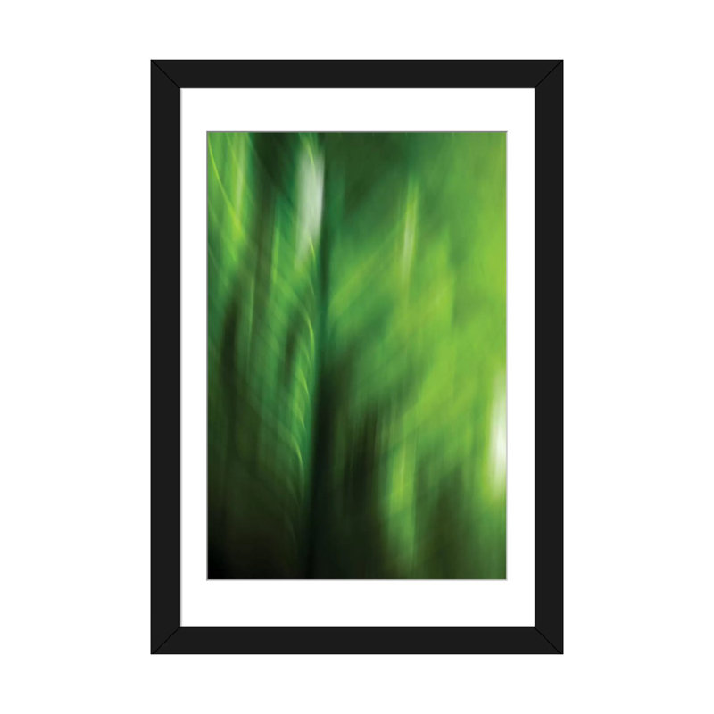 «Organic V» par PI Studio - Impression sur toile tendue sur châssis, H 32 po x l 24 po x P 1 po, Papier d'art encadré noir
