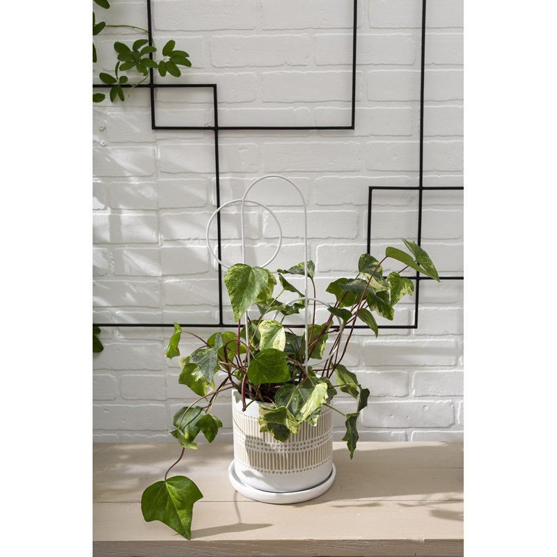 Pot Linden, H 6,5 po x l 6,75 po x P 6,75 po