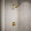 Riff Pressure-Balancing Shower Faucet Trim-670284501