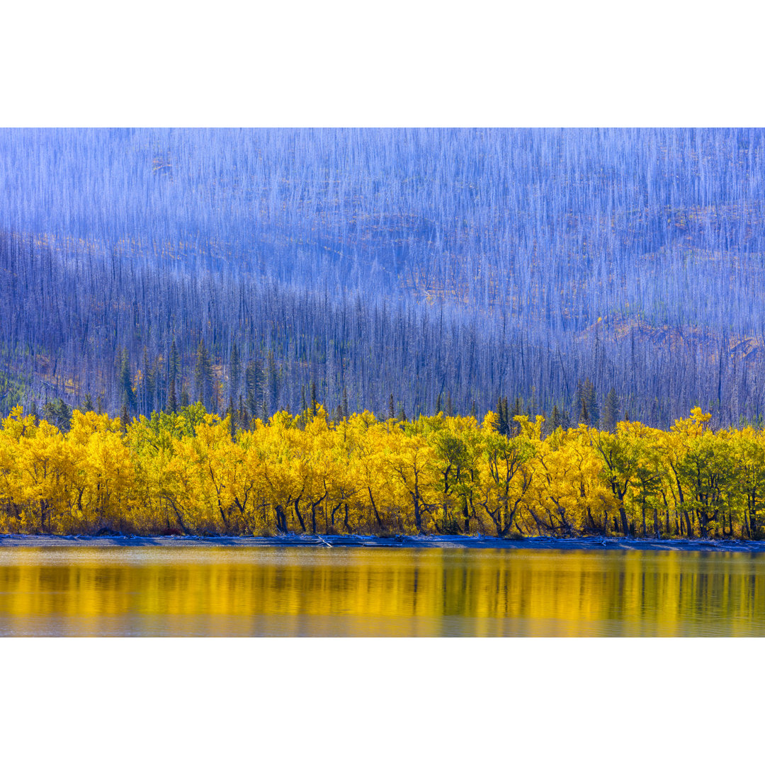 Glacier National Park von Don White - Druck