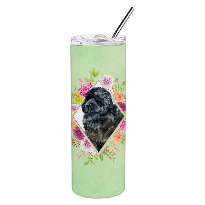 20oz. Stainless Steel Double Wall Glass, Black Newfoundland, Green
