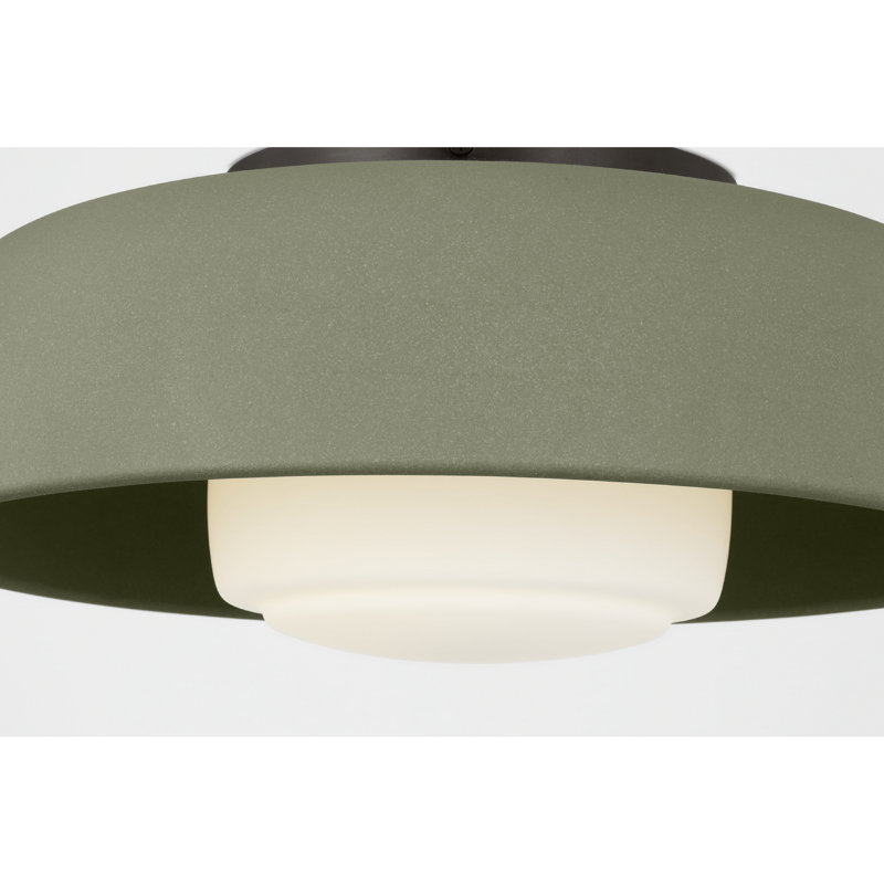 1 - Light LED Flush Mount, Aged Iron, Sage