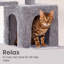 Maison pour chat à plusieurs niveaux-1113063618-1283309656