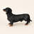 Black and Tan Dachshund Garden Statue-136367508