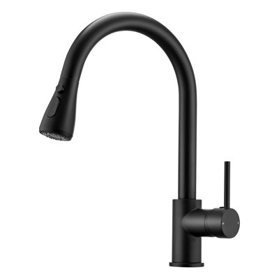Latitude Run Azizuddin Kitchen Faucet