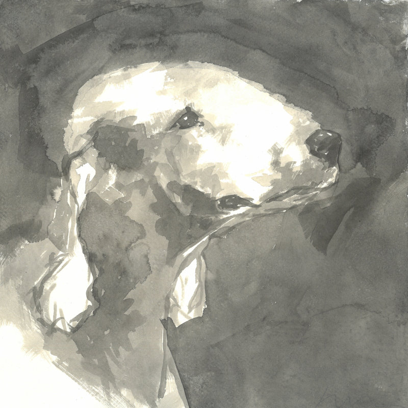Sepia Modern Dog I by A Very Modern Dog - Wrapped Canvas Painting, 91cm H x 91cm W
