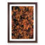 Autumn Forest in Bloom in Abstract - Picture Frame Graphic Art Print-55686652-55686654