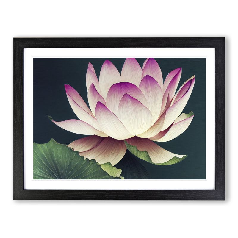 Cute Lotus Flower - Framed Print, Black, 25cm H x 34cm W x 2cm D