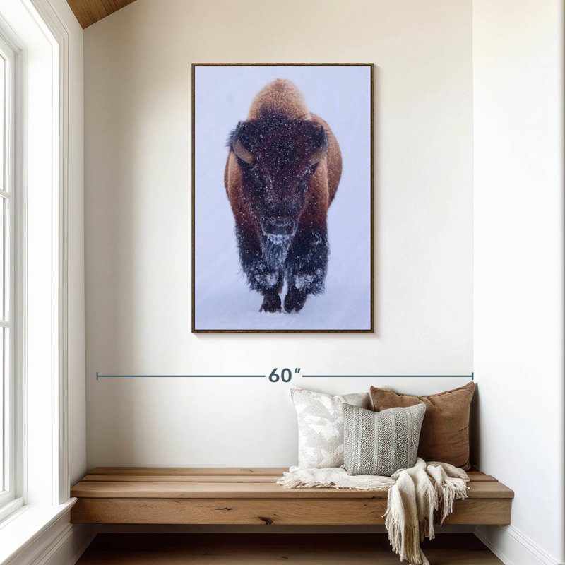 Bison dans la neige, 9" x 13", Floating Frame Walnut