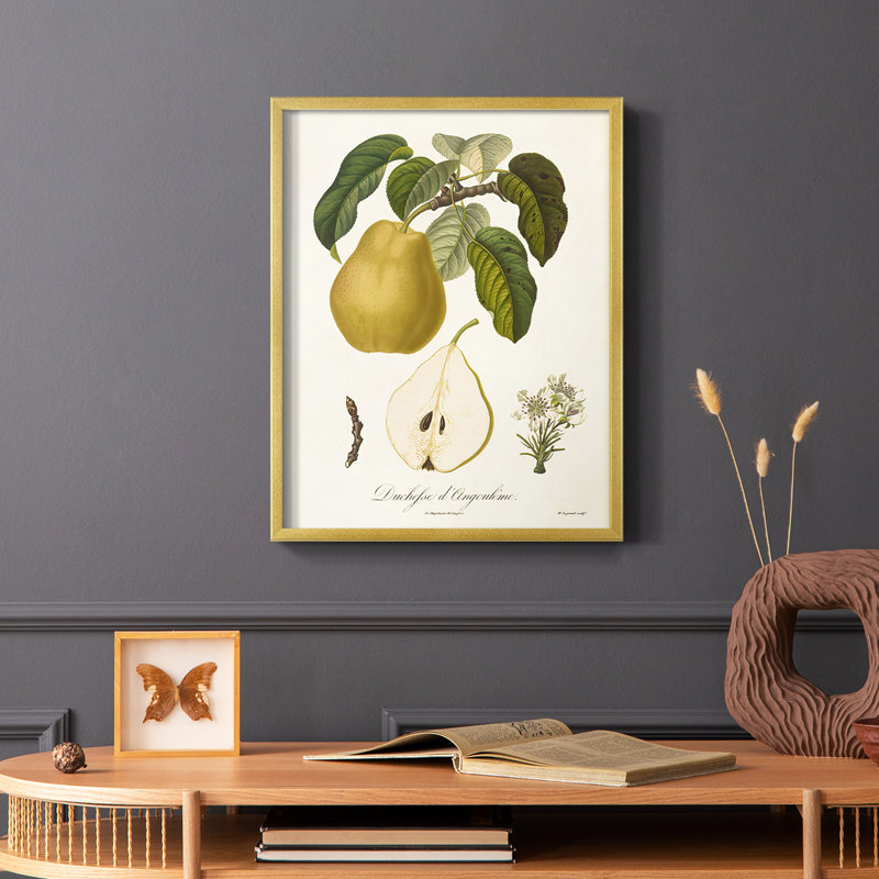Vintage Pears I, reproduction encadrée - bois massif, H 10 po x l 8 po