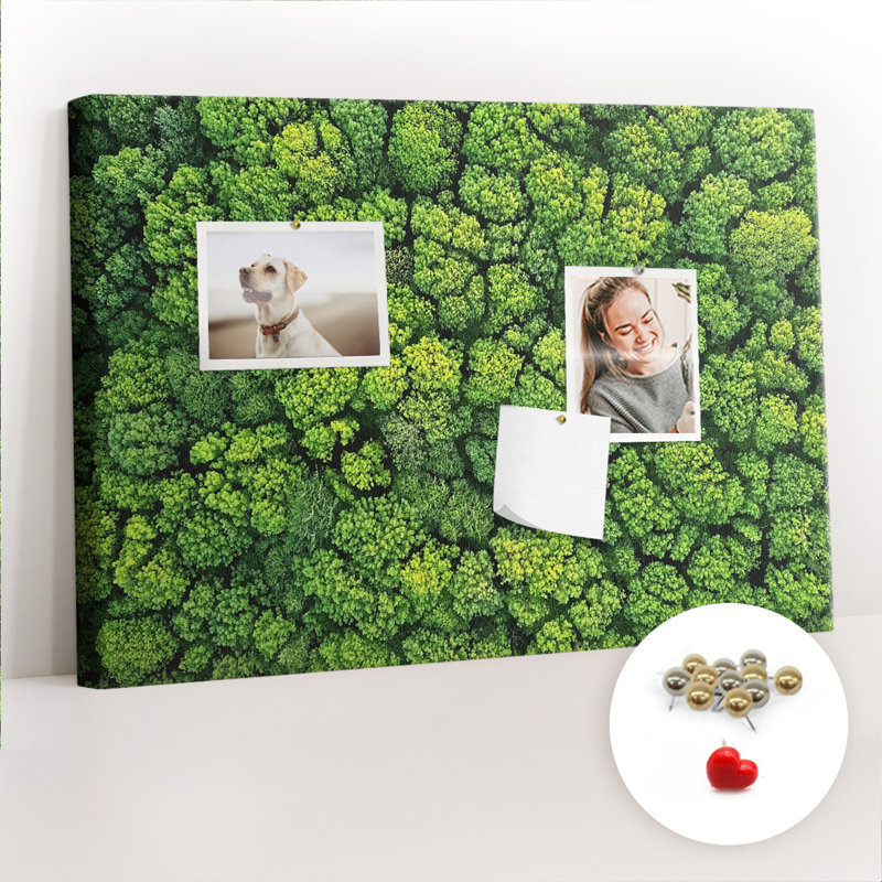 Mahbube Cork Corkboard / Bulletin Board