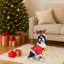 Charmante statue de Boston Terrier déguisée en Père Noël, idéale pour les décorations de Noël et les mises en scène joyeuses.