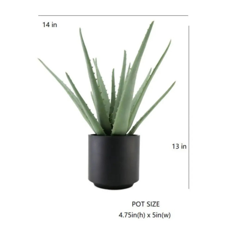 13" Artificial Aloe Plants