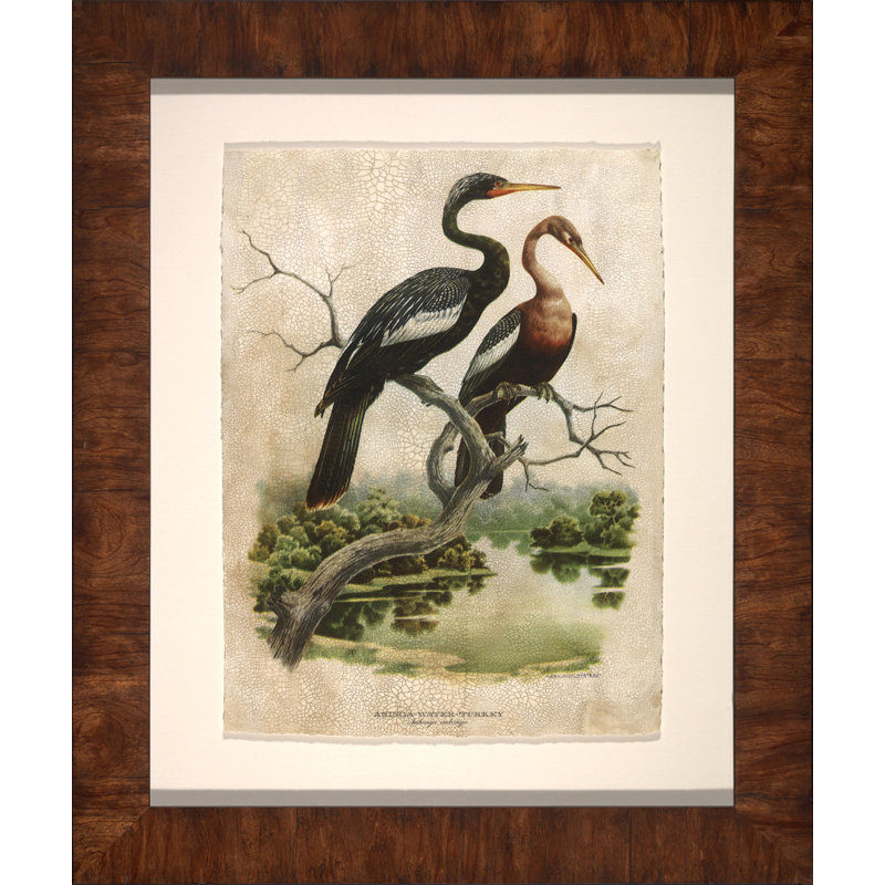Water Turkey Painting