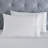 Brandon Cotton Three-Line Embroidered Deep Pocket Bed Sheet Set by Superior-110843111-100469533