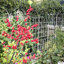 Paquet de 4 treillis de jardin en métal-185493160-185493163