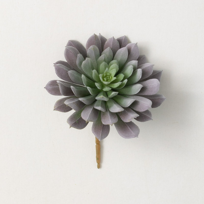 Rich Sienna Sempervivum Sprays