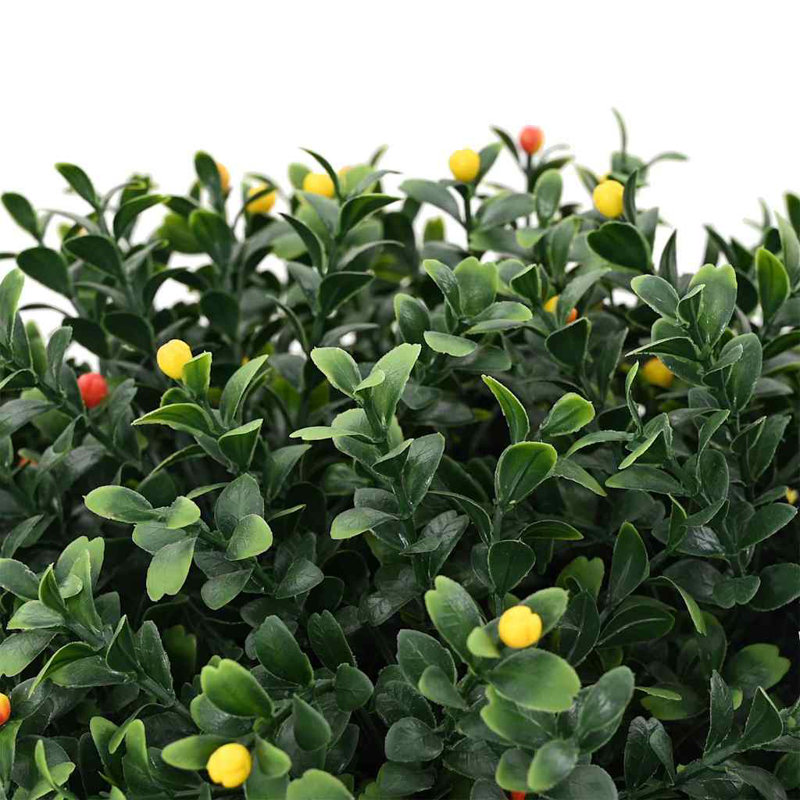 50cm Plant