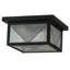 2 - Light Flush Mount