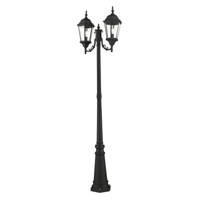 Arelene Lantern Head