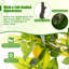 Faux citronnier 63 po en pot-1173117367