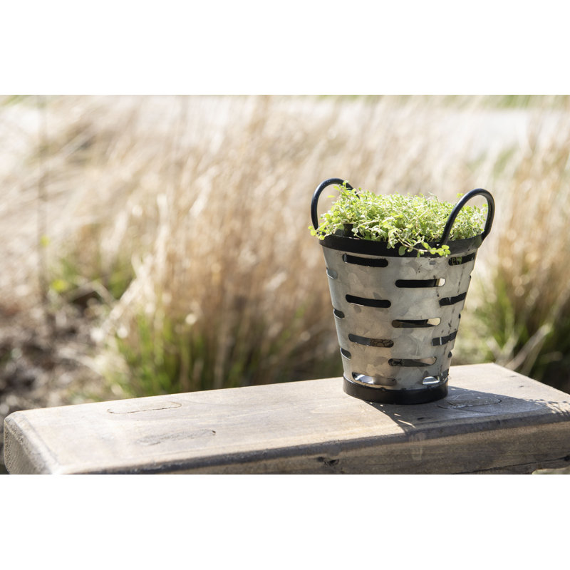 Pot à fleurs Olive Bucket