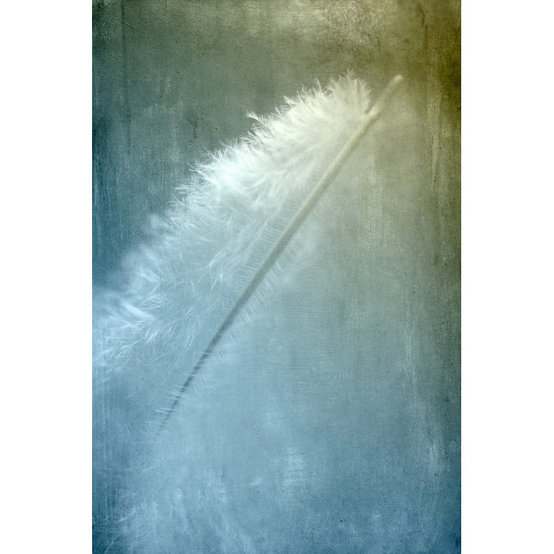 «White Feather», reproduction sur toile tendue, H 30 po x l 20 po x P 1,5 po