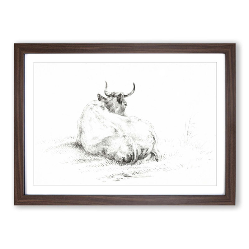 Rear of a Lying Cow by Jean Bernard - Picture Frame Drawing Print, 36cm H x 48cm W x 2cm D, Walnut Framed