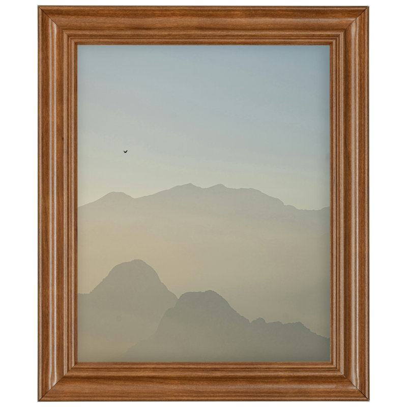 Cadre photo unique Dollie, Rectangulaire, L 20 po x H 30 po, Brun
