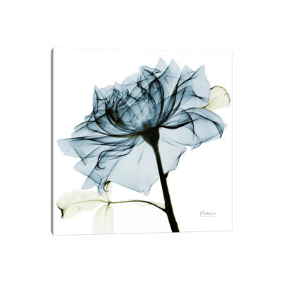 Rose III by Albert Koetsier - Wrapped Canvas Print