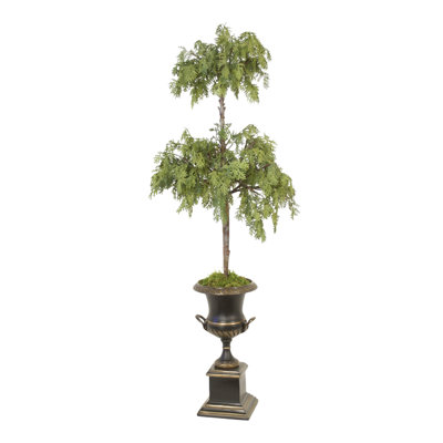 Cedar Topiary in Bronze Urn with Handles