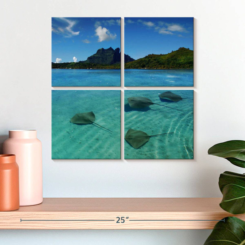 Brampt Bora Bora Stingrays, 18" H x 18" W
