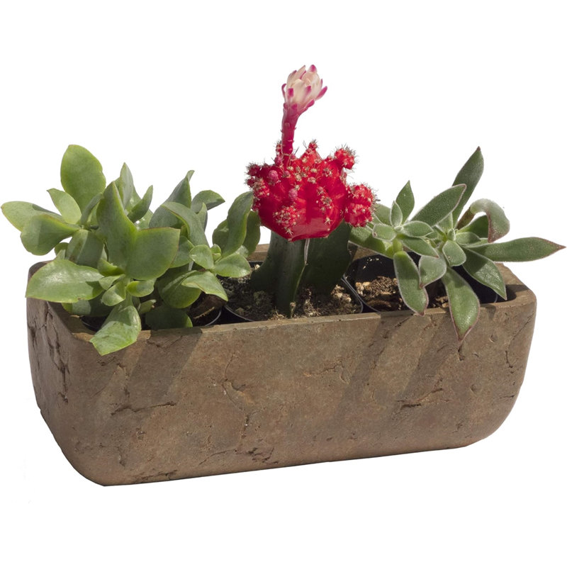 Cavell Pot Planter, Brown