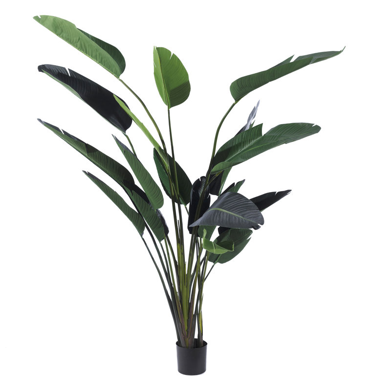 245cm Faux Plant in Pot