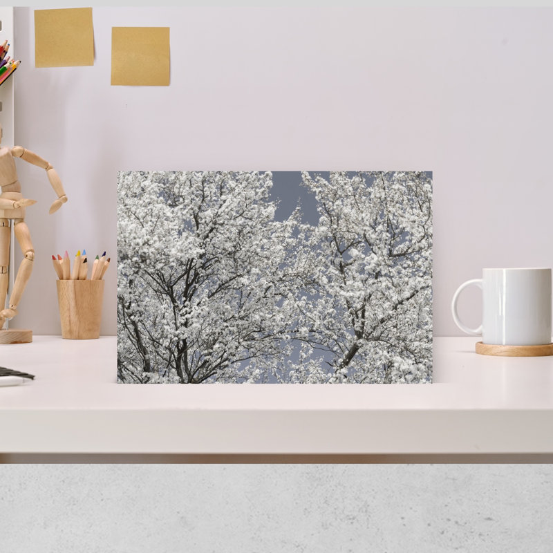 Art mural éthéré à fleurs blanches délicates, H 12 po x l 18 po