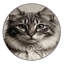  Tapis lavable Cymric Cats-1166187889