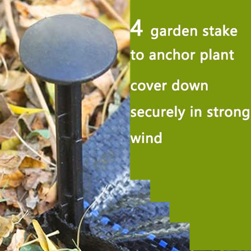 Alius Plant Support