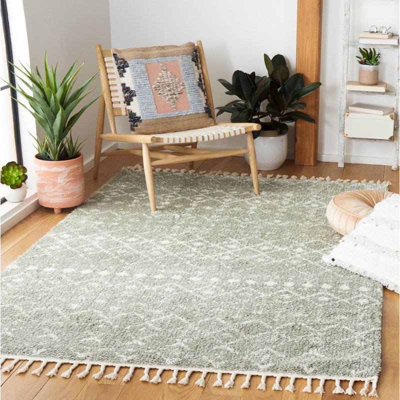 Tapis à poils longs Akiesha Performance, Rectangle 4 pi x 6 pi