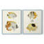 Impression encadrée jaune et gris I-Premium - prêt à être accroché - aucun clou requis - aucun clou requis-980359127-980358952