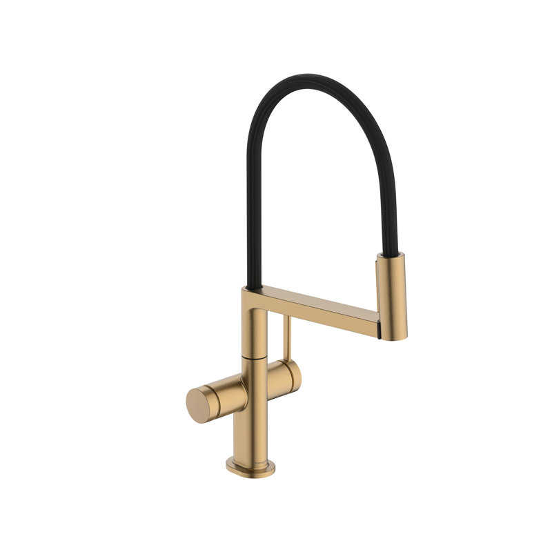 hansgrohe Talis N Semi-Pro PowderSpray Kitchen Faucet 1.75 GPM, Bronze