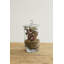 Asteridge Terrarium-177472387