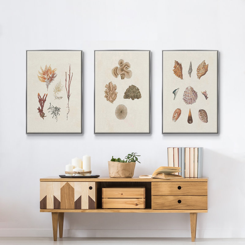 Knorr Shells and Coral VI, reproduction sur toile 3 pièces, H 27 po x l 54 po x P 2 po, Argent
