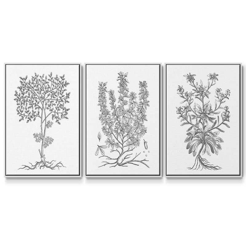 3 pièces de plante noire et blanche IV, H 27 po x l 54 po, Blanc
